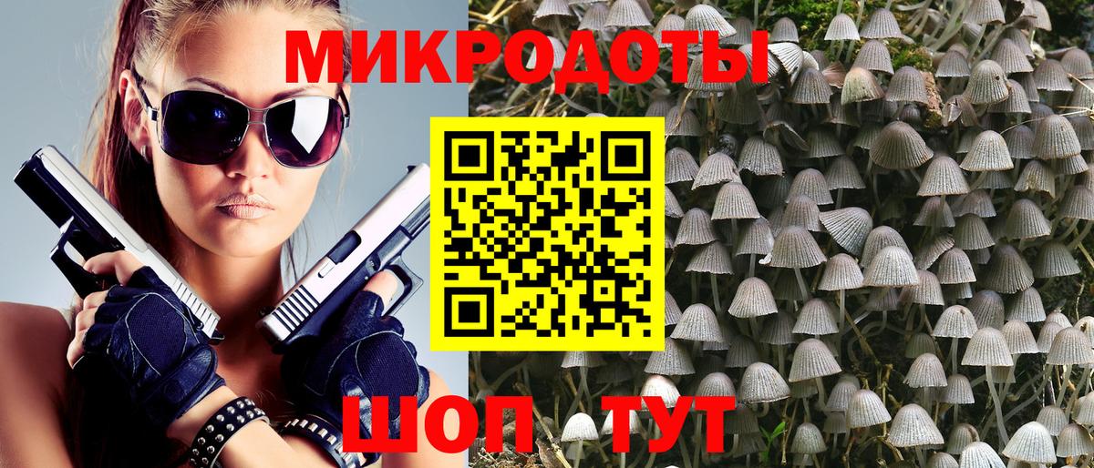 Галлюциногенные грибы Psilocybe Севастополь