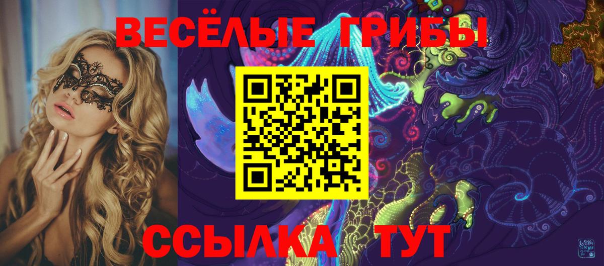 Севастополь  Галлюциногенные грибы ЛСД  Вход с VPN 